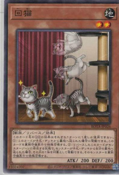 回猫
